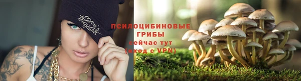каннабис Алексеевка