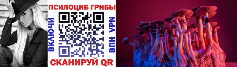 Псилоцибиновые грибы мухоморы  Лодейное Поле 